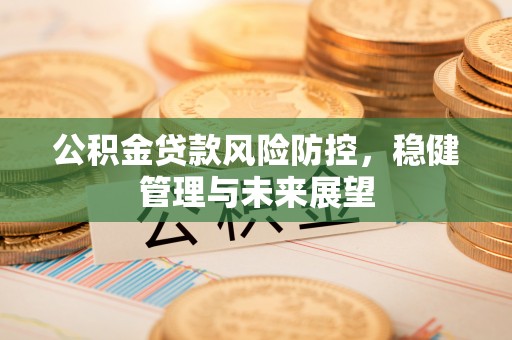 靖西公积金贷款风险防控，稳健管理与未来展望
