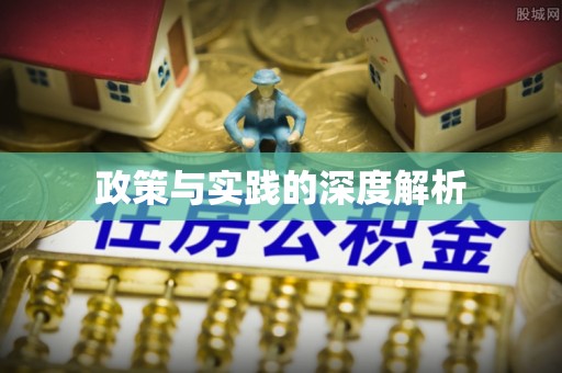 靖西政策与实践的深度解析