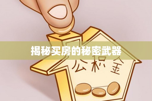 靖西揭秘买房的秘密武器