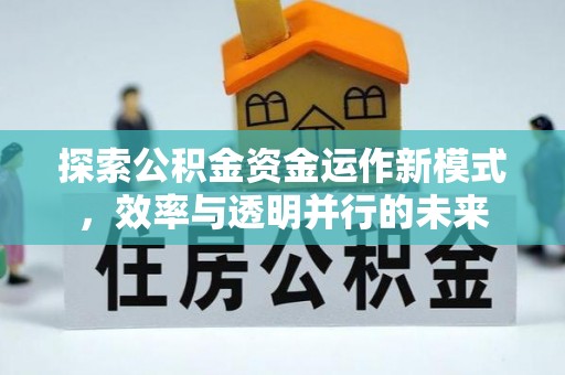 靖西探索公积金资金运作新模式，效率与透明并行的未来