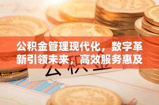 靖西公积金管理现代化，数字革新引领未来，高效服务惠及民生