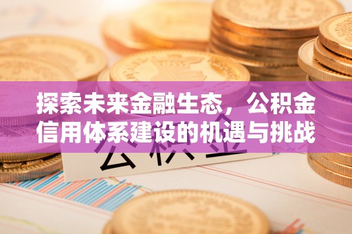 靖西探索未来金融生态，公积金信用体系建设的机遇与挑战
