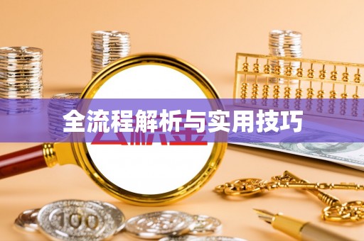 靖西全流程解析与实用技巧