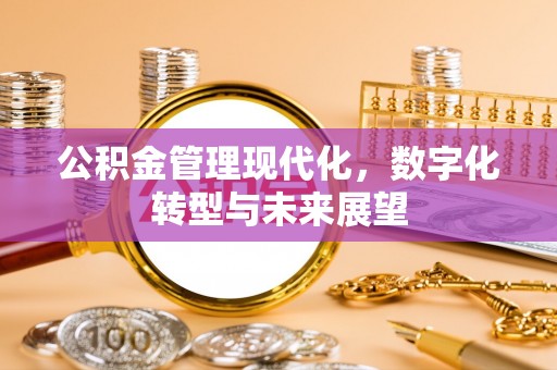 靖西公积金管理现代化，数字化转型与未来展望