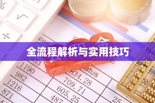 靖西全流程解析与实用技巧
