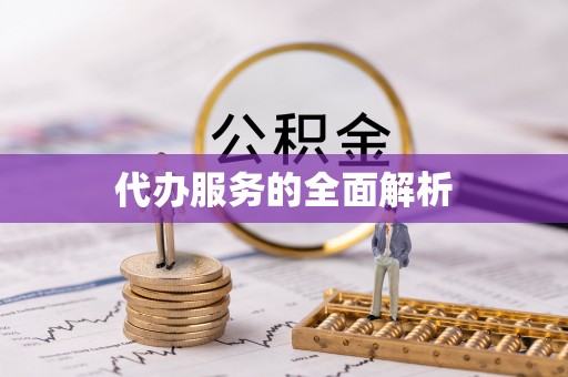 靖西代办服务的全面解析