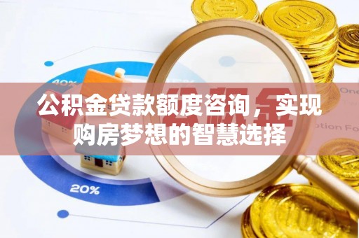 靖西公积金贷款额度咨询，实现购房梦想的智慧选择