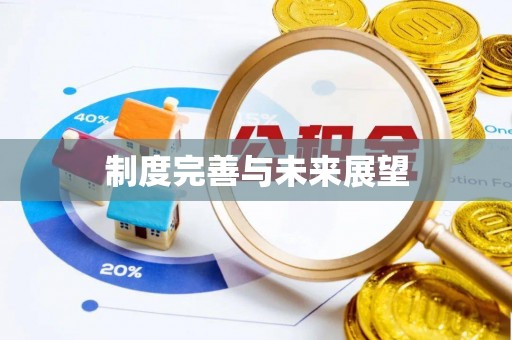 靖西制度完善与未来展望