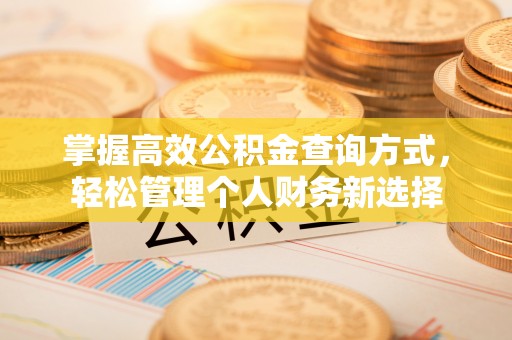 靖西掌握高效公积金查询方式，轻松管理个人财务新选择