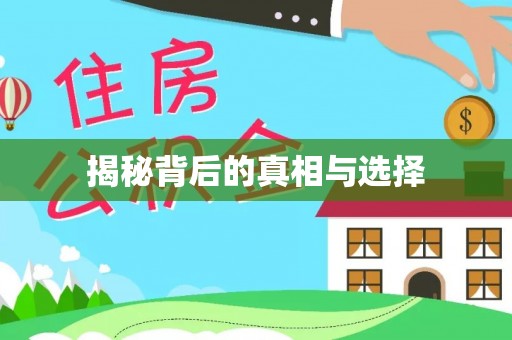 靖西揭秘背后的真相与选择