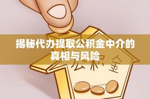 靖西揭秘代办提取公积金中介的真相与风险