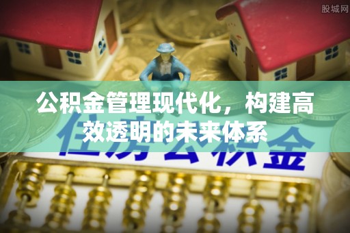 靖西公积金管理现代化，构建高效透明的未来体系