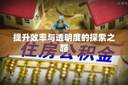 靖西提升效率与透明度的探索之路