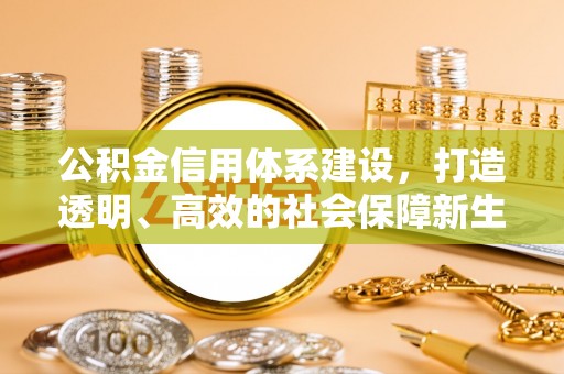 靖西公积金信用体系建设，打造透明、高效的社会保障新生态