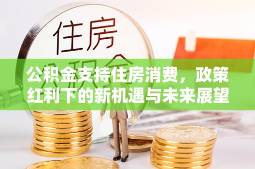 靖西公积金支持住房消费，政策红利下的新机遇与未来展望