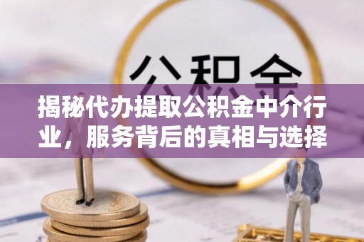 靖西揭秘代办提取公积金中介行业，服务背后的真相与选择指南