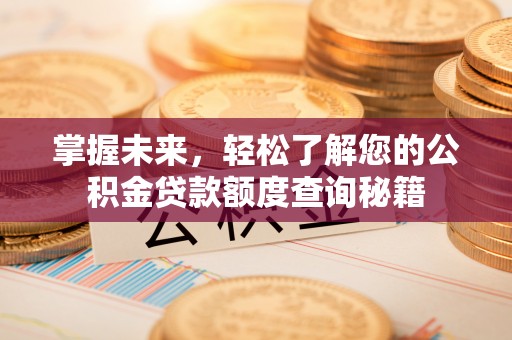 靖西掌握未来，轻松了解您的公积金贷款额度查询秘籍
