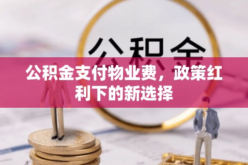 靖西公积金支付物业费，政策红利下的新选择