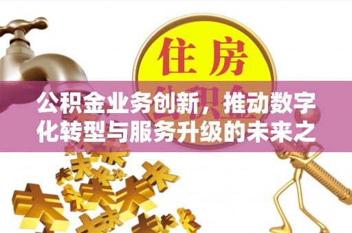 靖西公积金业务创新，推动数字化转型与服务升级的未来之路
