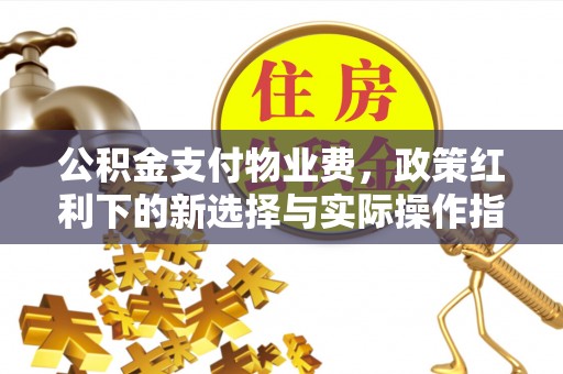 靖西公积金支付物业费，政策红利下的新选择与实际操作指南