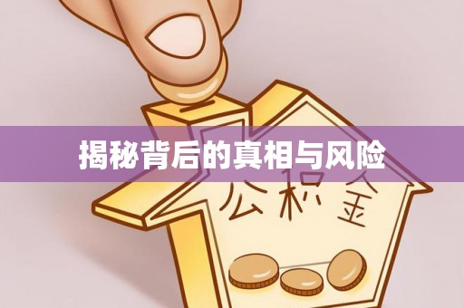 靖西揭秘背后的真相与风险