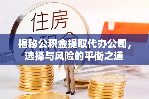 靖西揭秘公积金提取代办公司，选择与风险的平衡之道