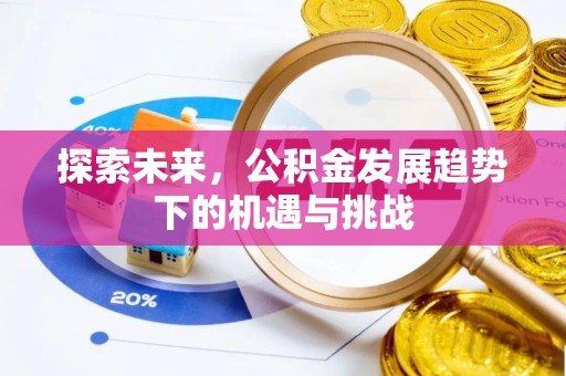 靖西探索未来，公积金发展趋势下的机遇与挑战