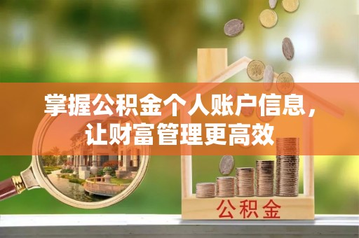 靖西掌握公积金个人账户信息，让财富管理更高效