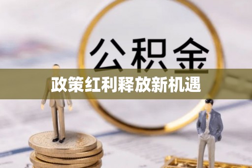 靖西政策红利释放新机遇