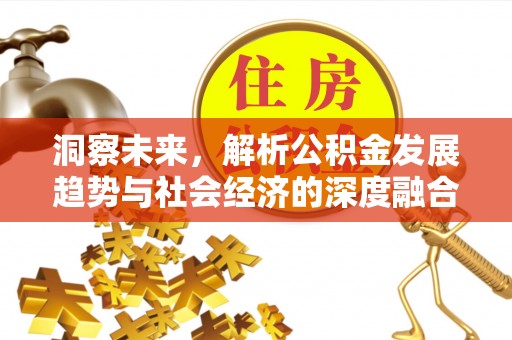 靖西洞察未来，解析公积金发展趋势与社会经济的深度融合