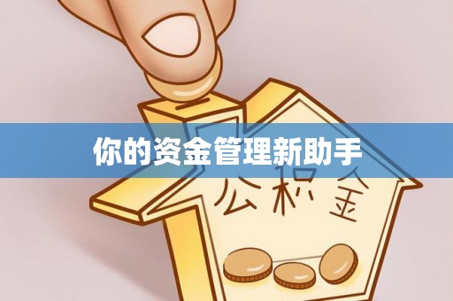 靖西你的资金管理新助手