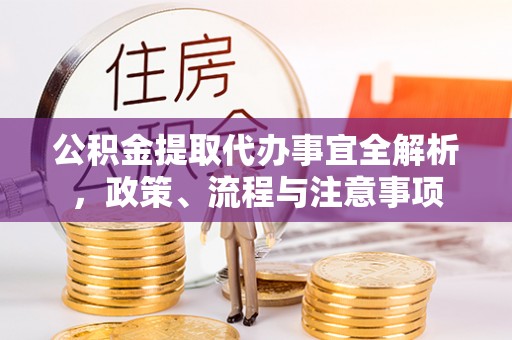 靖西公积金提取代办事宜全解析，政策、流程与注意事项