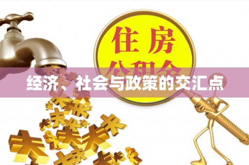 靖西经济、社会与政策的交汇点