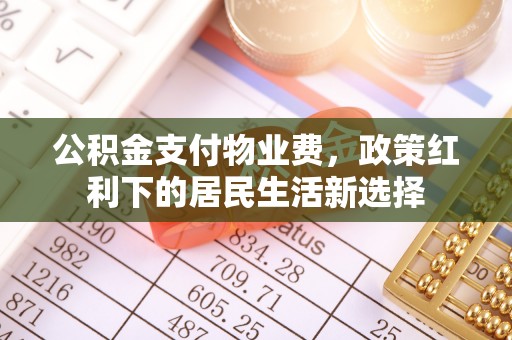 靖西公积金支付物业费，政策红利下的居民生活新选择