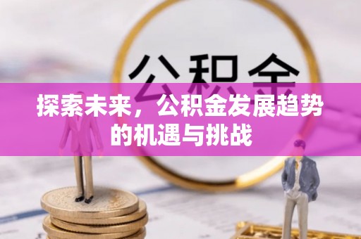 靖西探索未来，公积金发展趋势的机遇与挑战