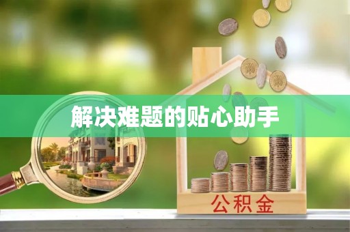 靖西解决难题的贴心助手