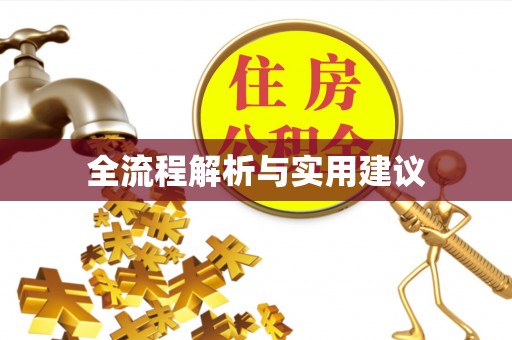 靖西全流程解析与实用建议