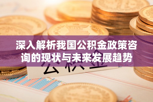 靖西深入解析我国公积金政策咨询的现状与未来发展趋势