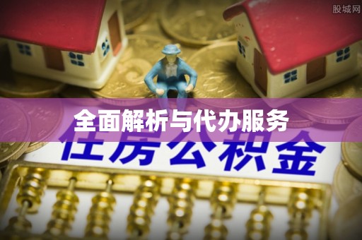 靖西全面解析与代办服务