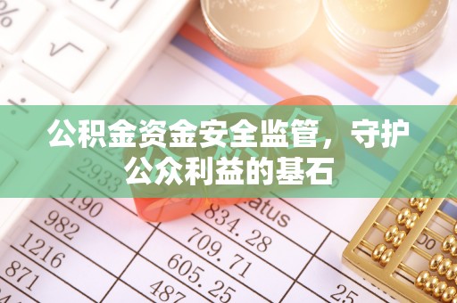 靖西公积金资金安全监管，守护公众利益的基石