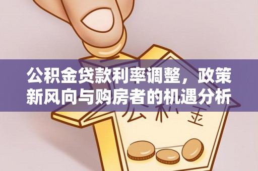 靖西公积金贷款利率调整，政策新风向与购房者的机遇分析