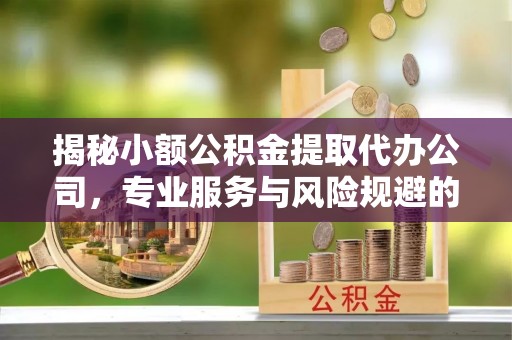靖西揭秘小额公积金提取代办公司，专业服务与风险规避的平衡艺术