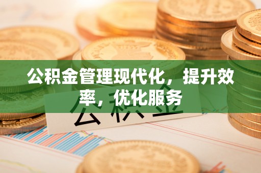 靖西公积金管理现代化，提升效率，优化服务