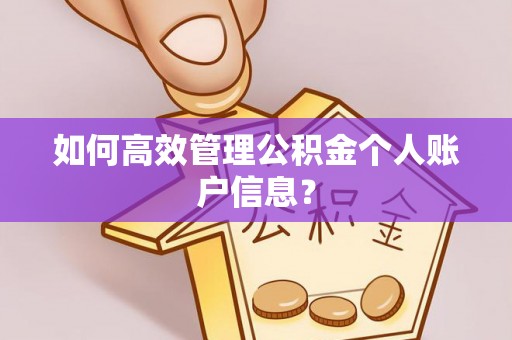 靖西如何高效管理公积金个人账户信息？
