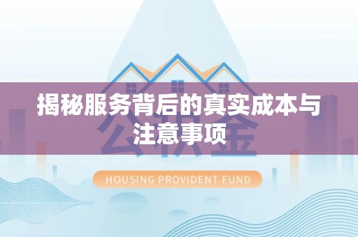 靖西揭秘服务背后的真实成本与注意事项