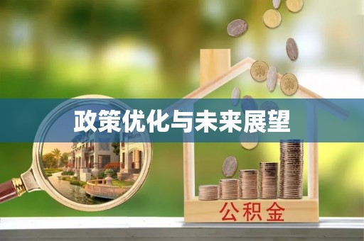靖西政策优化与未来展望