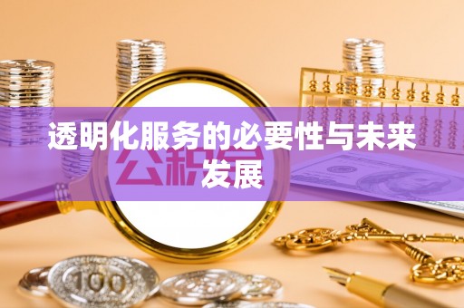 靖西透明化服务的必要性与未来发展