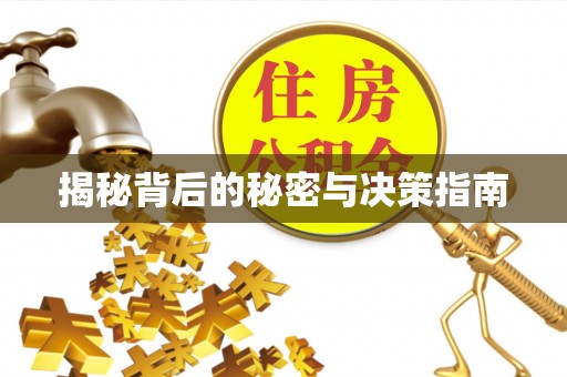 靖西揭秘背后的秘密与决策指南