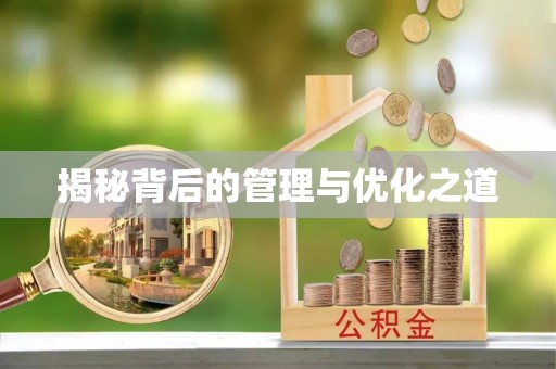 靖西揭秘背后的管理与优化之道