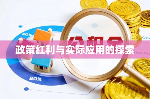 靖西政策红利与实际应用的探索
